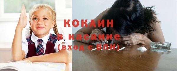 прущие грибы Наволоки