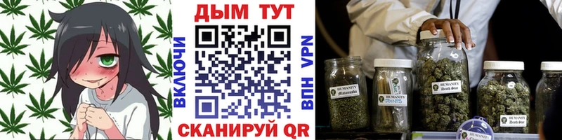купить наркотик  Котельнич  Бошки Шишки гибрид 